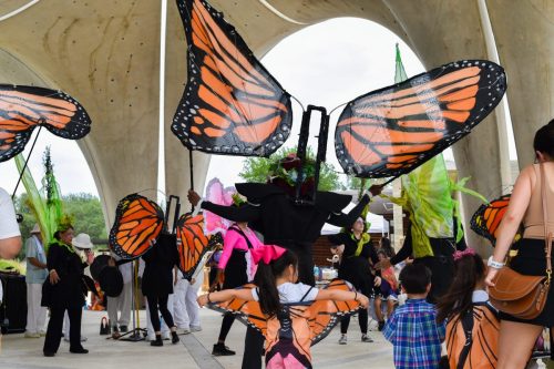 Pollinator Tea Party, May 2025. Picture by Pedro Luna