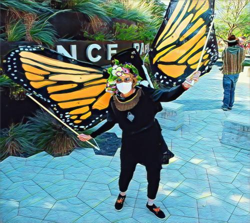 DSC9922 prisma villa