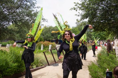 Pollinator Tea Party, May 2025. Picture by Amber Esparza