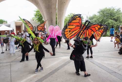 Pollinator Tea Party, May 2025. Picture by Amber Esparza