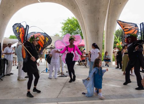 Pollinator Tea Party, May 2025. Picture by Amber Esparza
