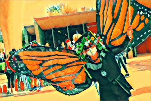 butterfly43 prisma orange